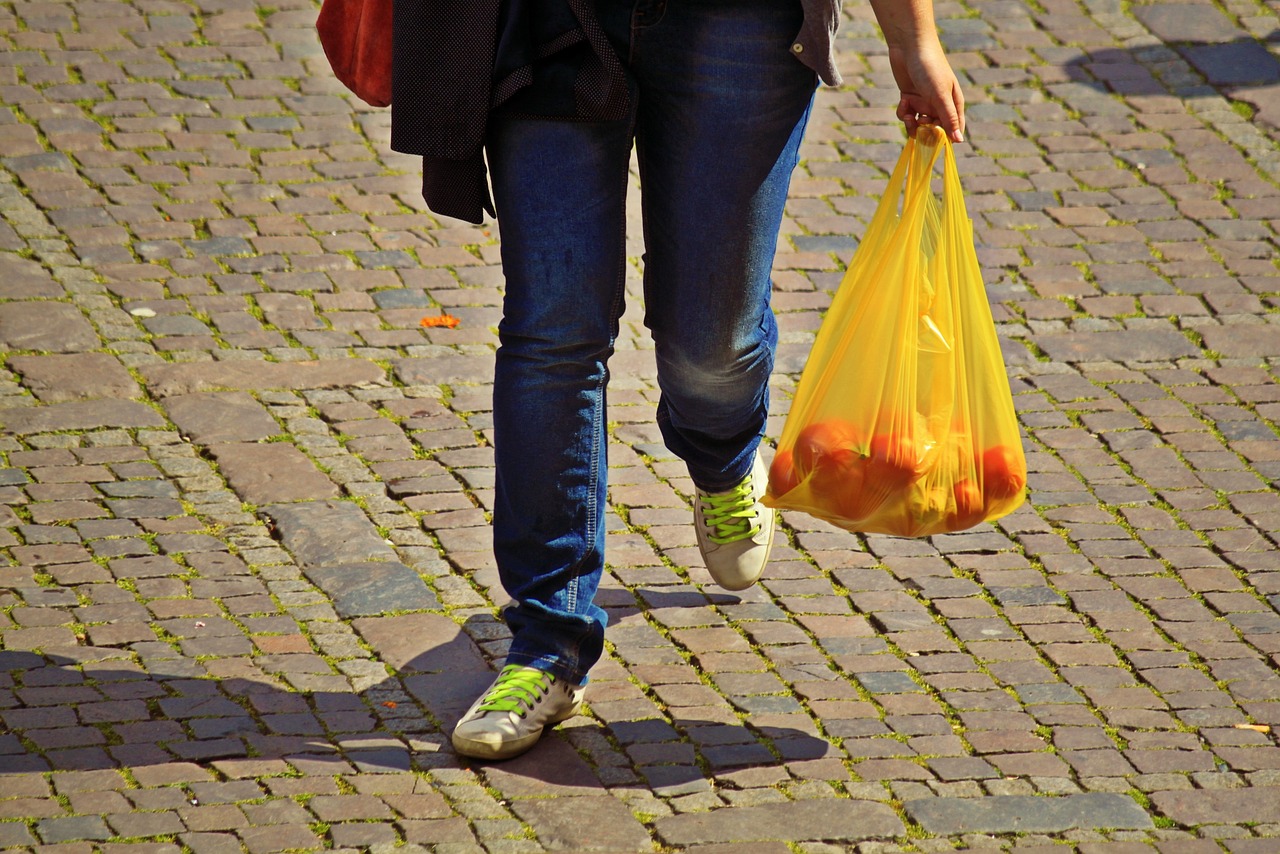 3 Sustainable Alternatives to Plastic Bags